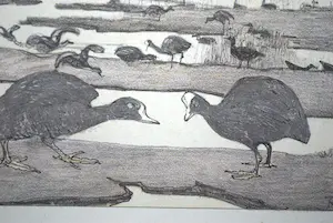 Theo van Hoytema - Meerkoeten - litho kopen? Bied vanaf 30!