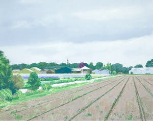 Gineke Zikken - Zeefdruk, Bollenschuren kopen? Bied vanaf 1!