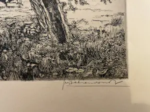 Theo Beerendonk - Knotwilg met koe kopen? Bied vanaf 40!