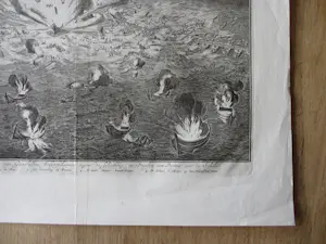 Coenraet Decker - 2 gravures Opblazen ven de schipbrug in de Schelde, 1585 kopen? Bied vanaf 100!