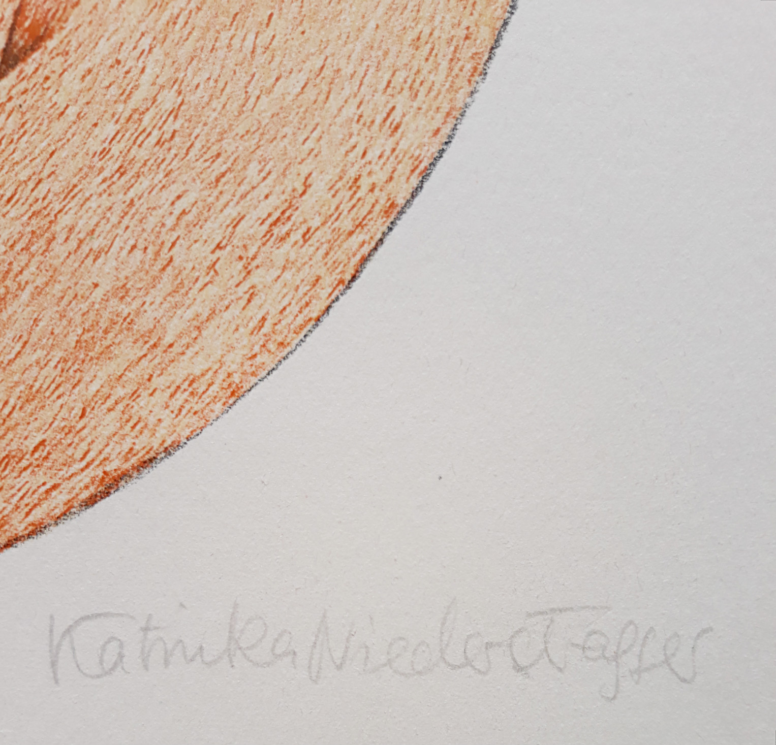 Katinka Niederstrasser - Vrouw met dieren, litho kopen? Bied vanaf 20!