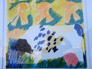 Jan Cremer - KOE MET HOOIMIJTEN kopen? Bied vanaf 299!