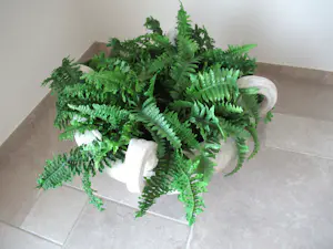 Paolo Marioni - Classic Collection pot / coupe / tafel kopen? Bied vanaf 650!