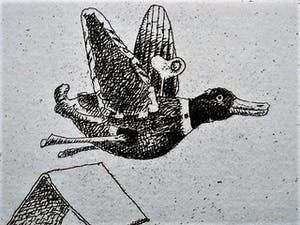 Herman Berserik - Karakteristiek Grafiek - Ets - "Opwind-eend" kleine oplage - potloodgesigneerd kopen? Bied vanaf 30!