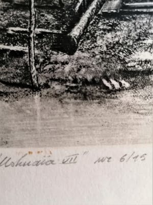 Jef Van Grieken - Ushavia VII kopen? Bied vanaf 60!