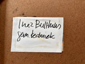 Inez Bulthuis - Hoofd kopen? Bied vanaf 25!