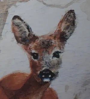 Corry Schenk - Twee Reeën kopen? Bied vanaf 50!