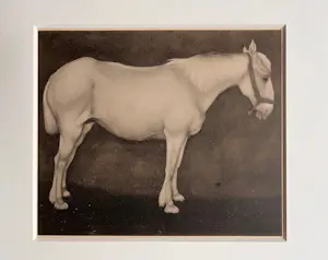 Jan Mankes - Originele Heliogravure Wit Paard 1923 kopen? Bied vanaf 165!