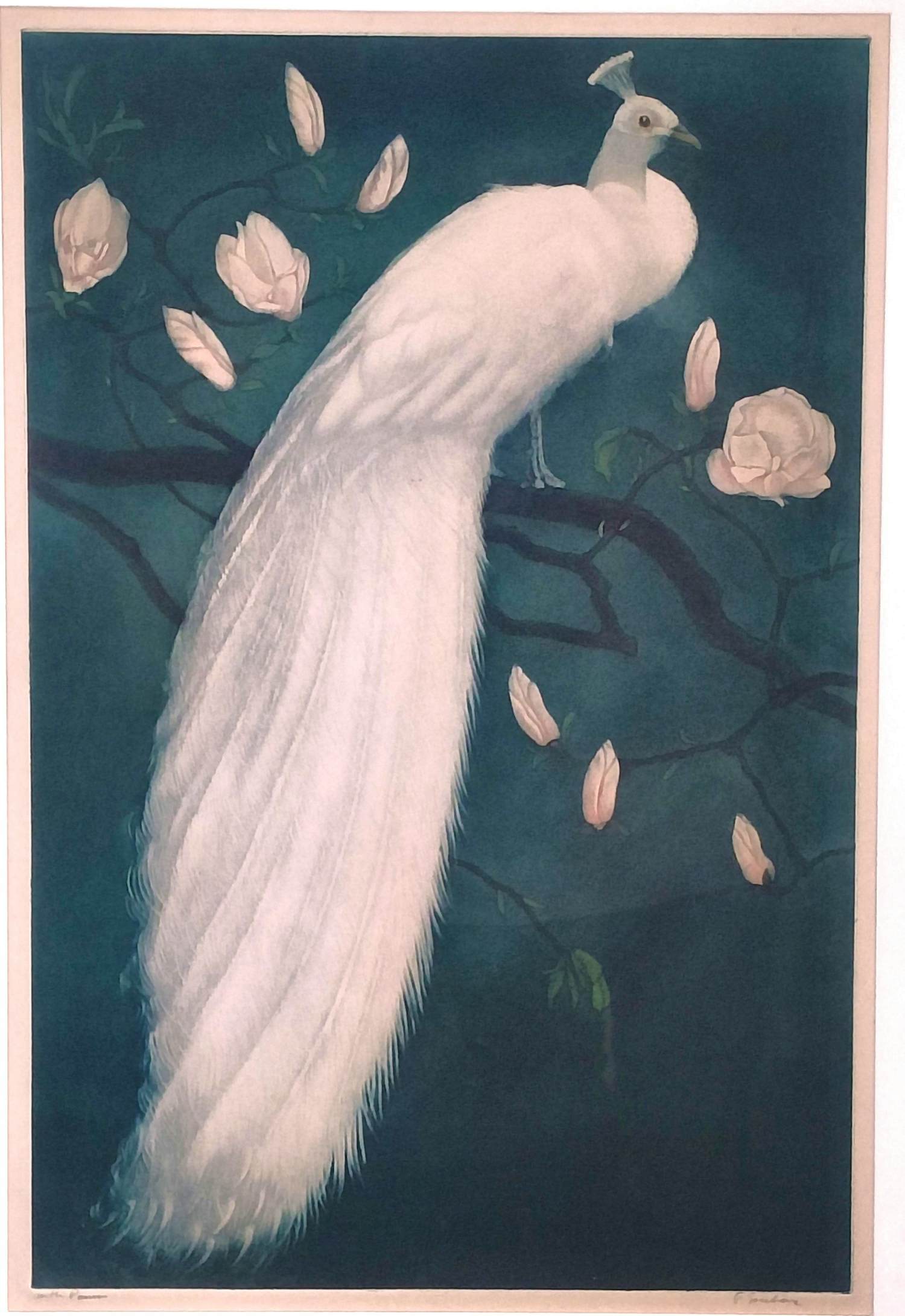 Frans Everbag - Witte Pauw kopen? Bied vanaf 150!