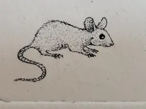 Ella van Schaik - handgesigneerde ets | 'Kat en muis' kopen? Bied vanaf 40!