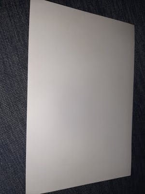 Leo Visser - Watervogels kopen? Bied vanaf 20!