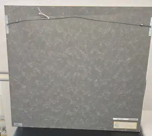 Jim van der Woude - Grafische intepretatie van de strip "Kuifje in Tibet" kopen? Bied vanaf 100!