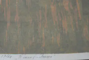 Erik Roos - 'Il Bosco Fantasma' kopen? Bied vanaf 50!