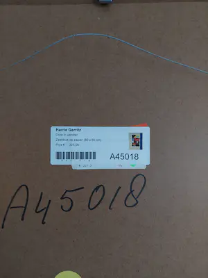 Harrie Gerritz - Dorp in venster kopen? Bied vanaf 50!