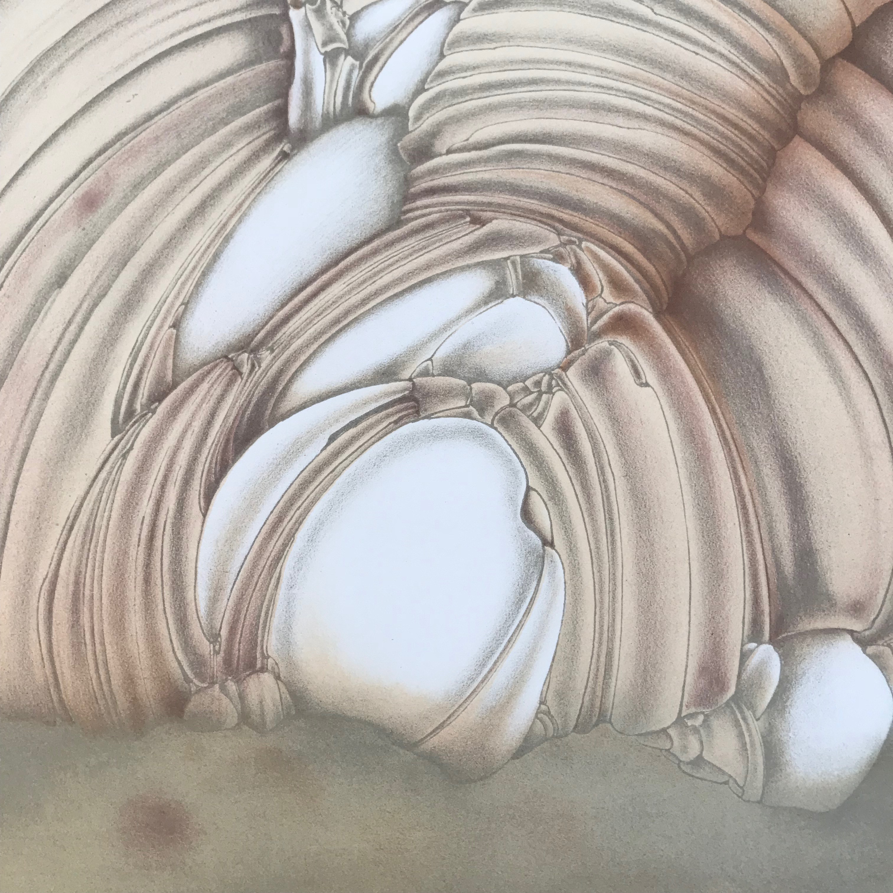 Alain Le Foll - Lithografie - HC - Gesigneerd - Zonder lijst kopen? Bied vanaf 35!