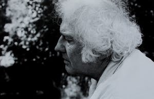 Steye Raviez - Fotolitho: Jan Wolkers kopen? Bied vanaf 25!