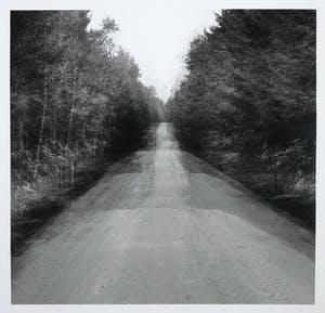 Lon Robbe - Foto, Bospad II kopen? Bied vanaf 10!