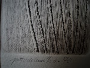 Peter de Leur - Bijzondere 8 delige Droge Naald ets "Dag, Nacht en Paddestoelen" gesigneerd kopen? Bied vanaf 10!