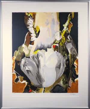 Anita Duijf - Zeefdruk. Z.t. Witte tulp - Ingelijst (Groot) verkocht voor € 40!