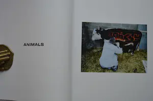 Banksy - Banksy captured. [Friends and Family] Limited edition of 500! kopen? Bied vanaf 1!