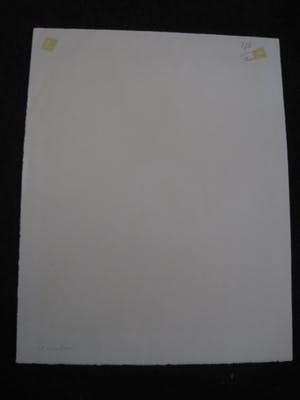 Niet of onleesbaar gesigneerd - Gesigneerd oost-Europees Grafiek - Vrouwelijk Naakt met Roos - gesigneerd kopen? Bied vanaf 10!