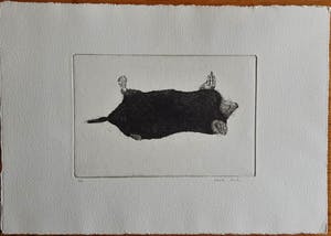 Charles Donker - Een Mol kopen? Bied vanaf 195!