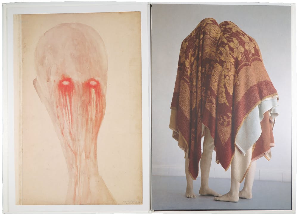 Berlinde De Bruyckere (1964)