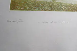 Eduard Flor - Fraaie handgekleurde diepdruk/reliëf Ets - kleine oplage (60) - potloodgesignrd kopen? Bied vanaf 47!