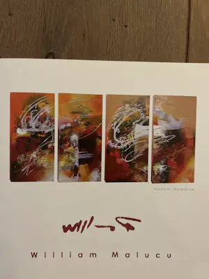 William Malucu - Split 2x 30x60 kopen? Bied vanaf 150!