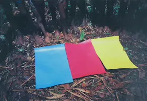 Roy Villevoye - Primary Colors in Kombrai - Ingelijst kaufen? Bieten Sie von 200!