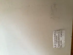 Jan Toorop - De violiste kopen? Bied vanaf 1!