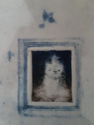 Niet of onleesbaar gesigneerd - Blauwe kast kopen? Bied vanaf 10!