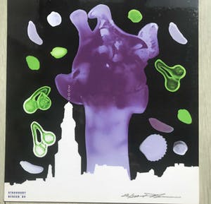 Paul Blanca - Giraffe omringd met Kersen kopen? Bied vanaf 40!