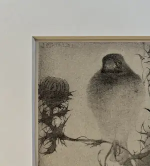 Jan Mankes - Originele Heliogravure - Puttertje op Tak 1923 kopen? Bied vanaf 175!