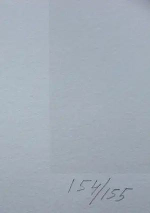 Klaas Gubbels - Zeefdruk met bijbehorend tekstblad - 1981 kopen? Bied vanaf 95!