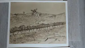 Vincent van Gogh - Acht tekeningen van Vincent van Gogh kopen? Bied vanaf 95!