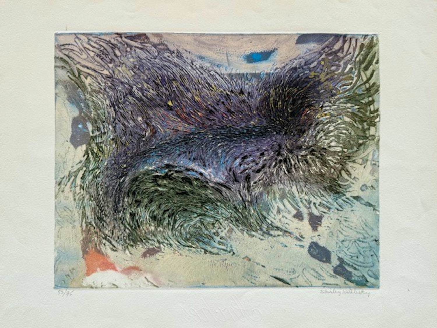 Shirley Estelle Witebsky - Lithographie "Métamorphose" kopen? Bied vanaf 90!