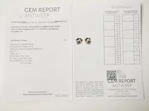 Diamanten oorknopjes 0,66 ct kopen? Bied vanaf 800!
