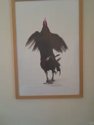 Koen Vanmechelen - Fighter kopen? Bied vanaf 740!