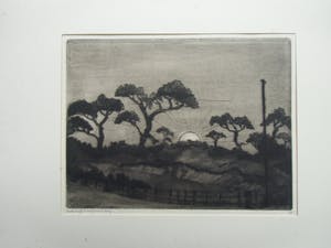 Lodewijk Schelfhout - LES SAPINS /// DROGE NAALD VAN LODEWIJK SCHELFHOUT kopen? Bied vanaf 40!