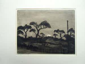 Lodewijk Schelfhout - LES SAPINS /// DROGE NAALD VAN LODEWIJK SCHELFHOUT verkocht voor € 40!