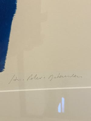 Jan Peter van Opheusden - Viool kopen? Bied vanaf 1!
