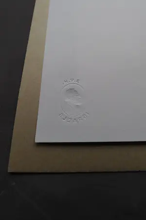 Paul Elshout - Brabants beeldhouwer - handgekleurde litho "kwetsbaar" - kleine oplage (30) kopen? Bied vanaf 47!