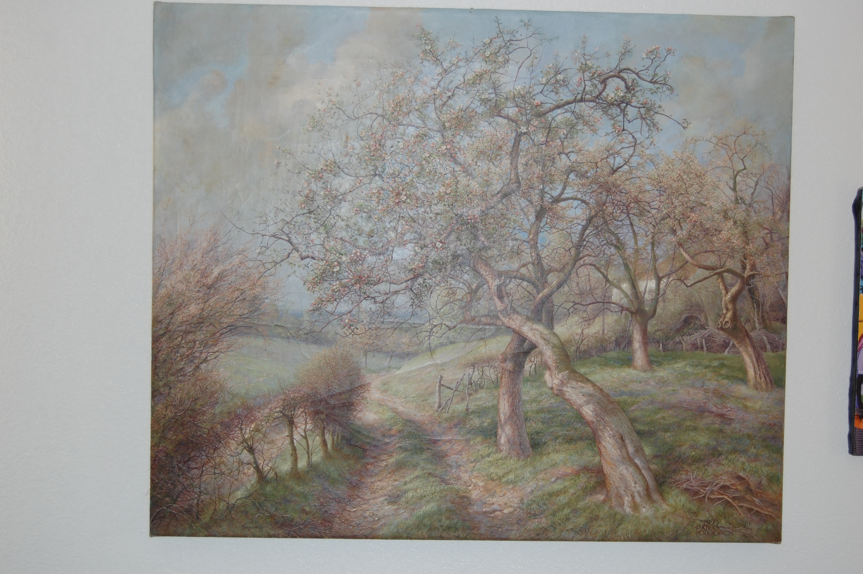 Patrick Creyghton - Boomgaarde kopen? Bied vanaf 4000!