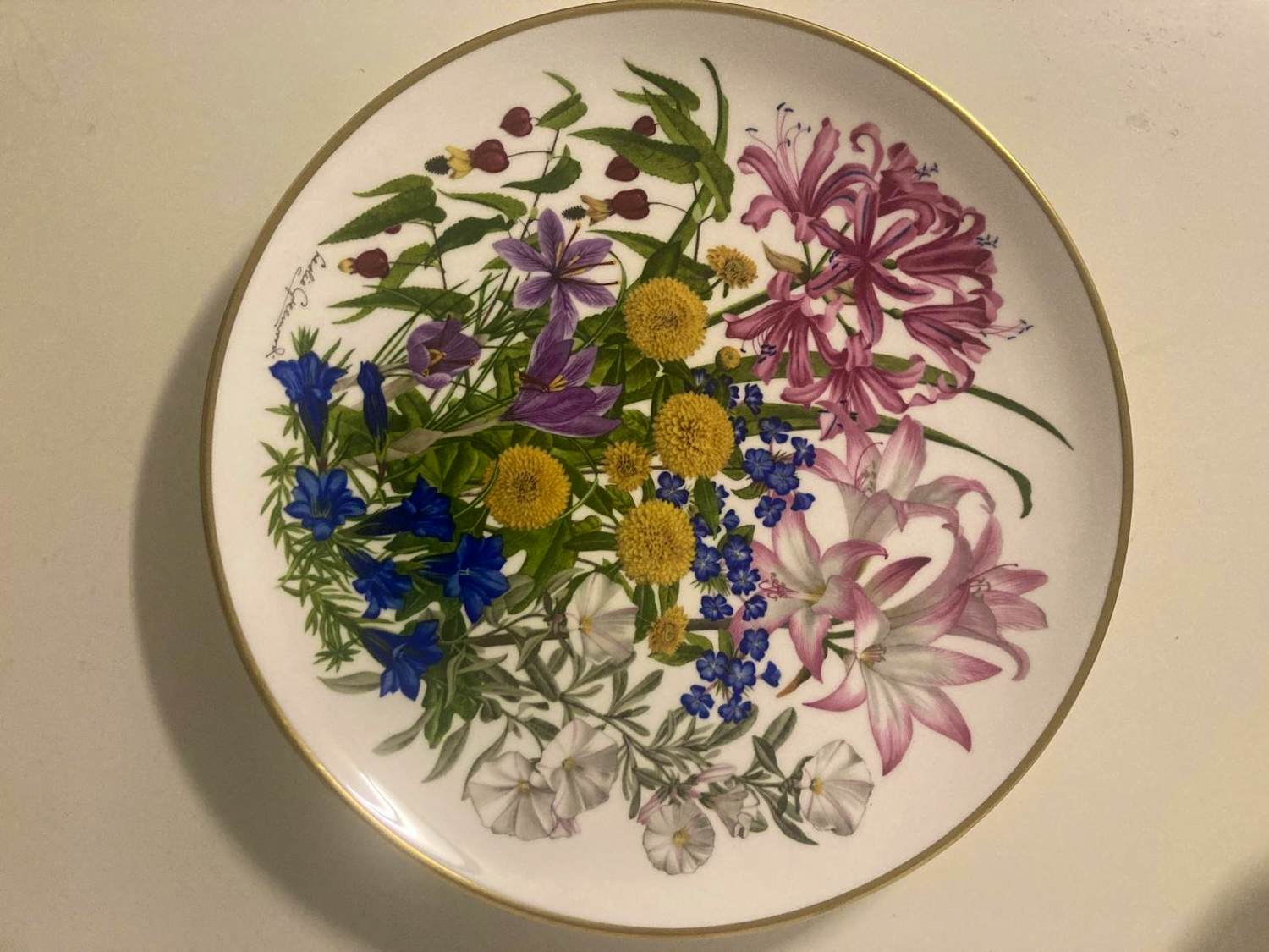 Wedgwood - Flowers of October (FrL_1). kaufen? Bieten Sie von 35!