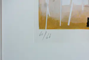 Danny van Walsum - Zeefdruk op papier, Zonder titel - Ingelijst kopen? Bied vanaf 35!