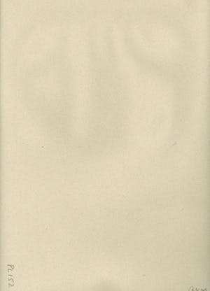 Jan Mankes - Paard kopen? Bied vanaf 1!