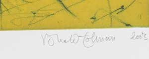 Ronald Tolman - Kleurenets, Optocht kopen? Bied vanaf 100!