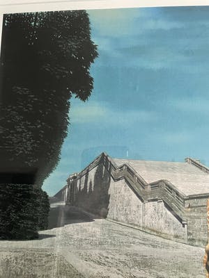 Carel Willink - Grote litho 'Twee Giraffen' kopen? Bied vanaf 210!