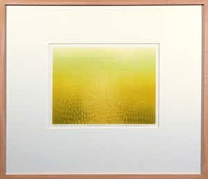 Lydia Oerlemans - Ets en aquatint, Licht velden II - Ingelijst verkocht voor € 50!